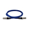 IO-CAT6-100-P